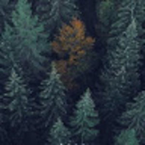 Meet your Posher, Claire